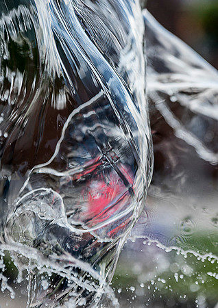 Swan Fountain © Dick Prior