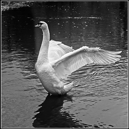 Stretching © Michael Robertson-Smith