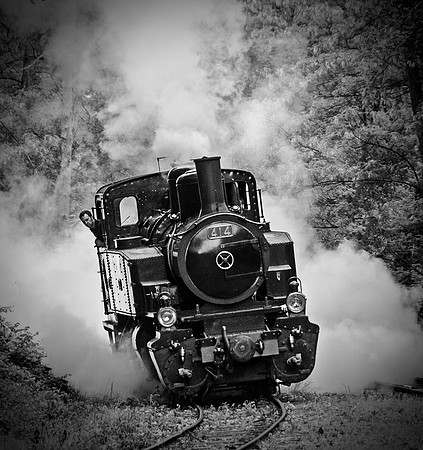 Where are my Coaches? © Andrew Dow