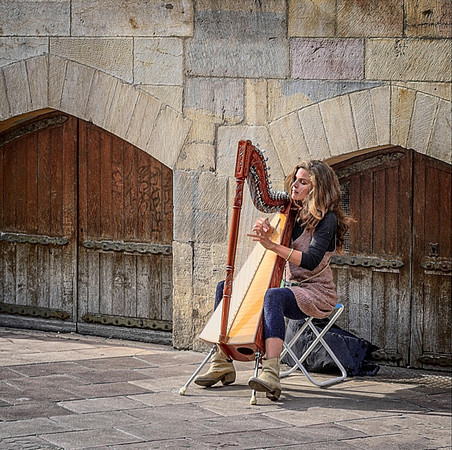 The Harpist © Michael Robertson-Smith - 1st= & Print of the Year