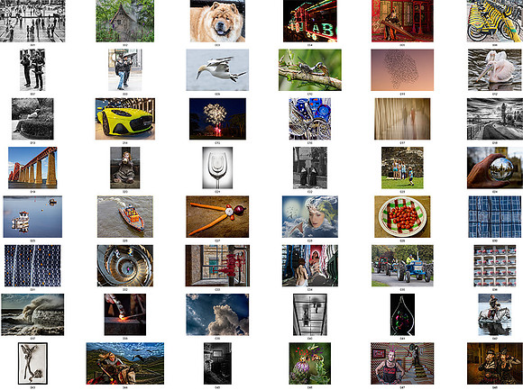 Match That Contact Sheet 06012020